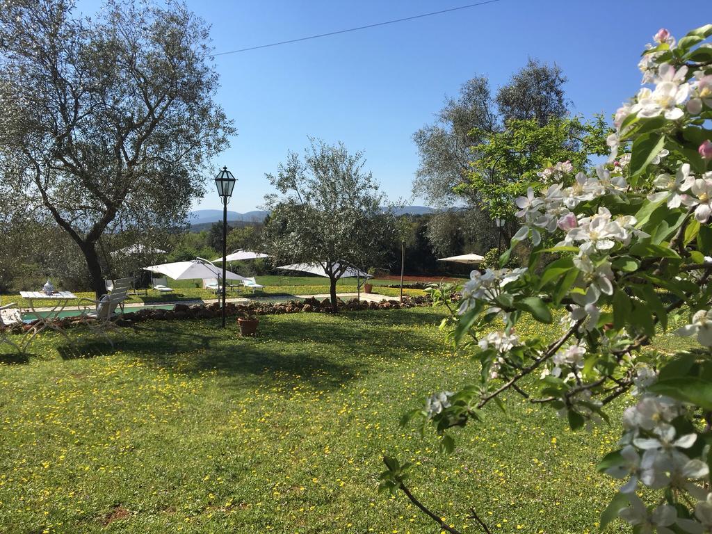 مونتيريجيوني La Canonica Di San Michele المظهر الخارجي الصورة