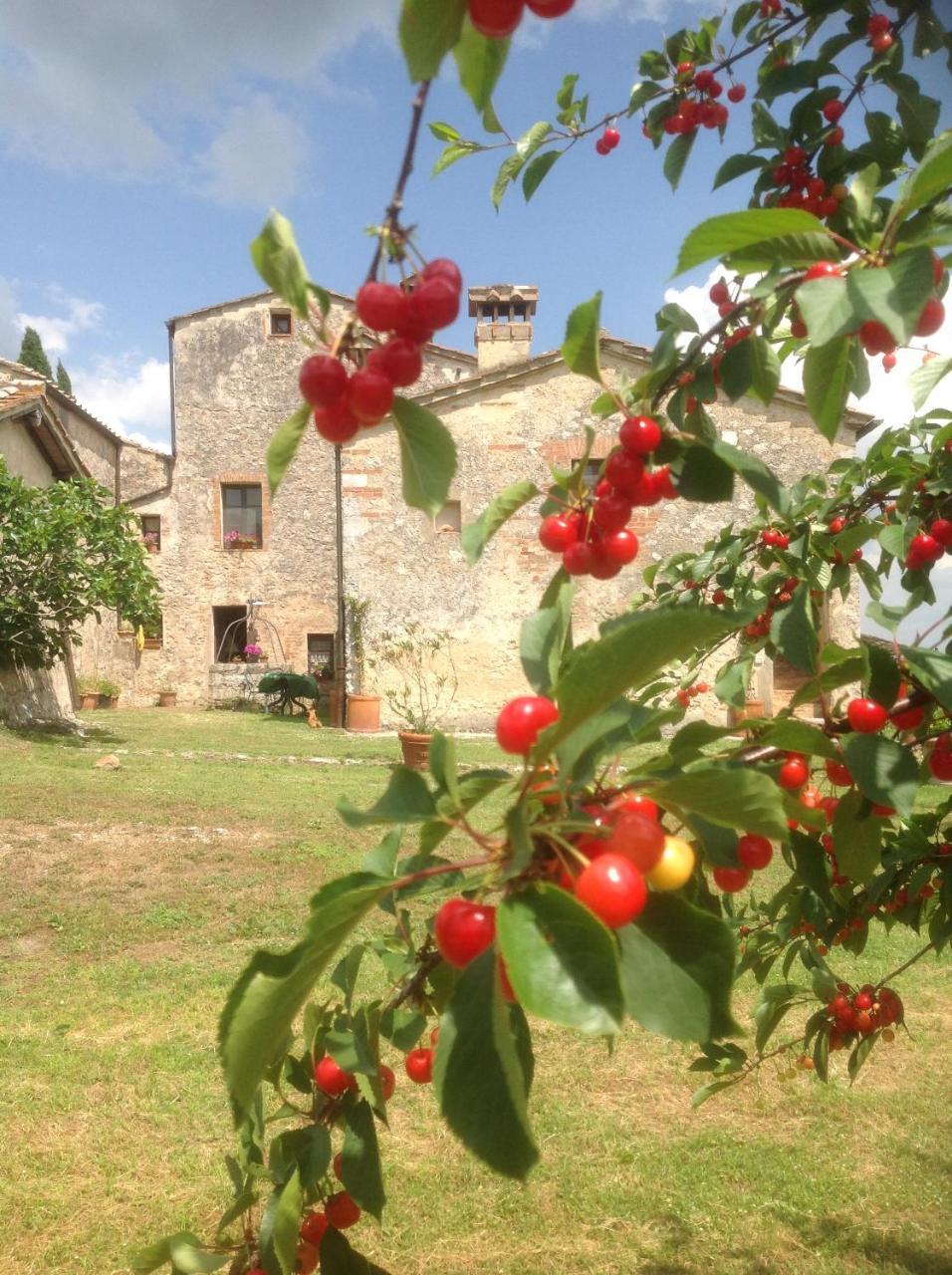 مونتيريجيوني La Canonica Di San Michele المظهر الخارجي الصورة